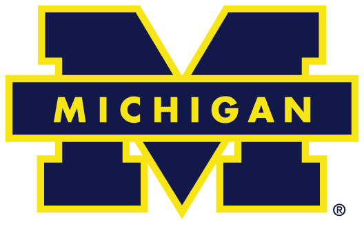 Michigan Wolverines 1988-1996 Primary Logo iron on transfers for T-shirts